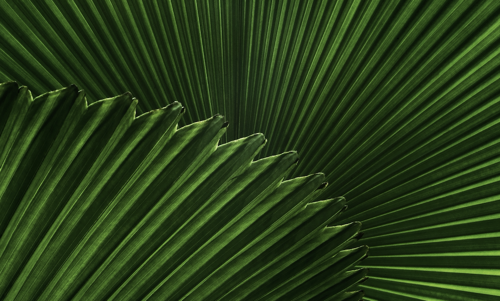 Read and write reviews