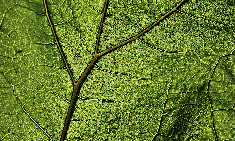 Integrate Open Reviews